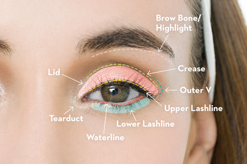 an eye shadow guide for makeup beginners