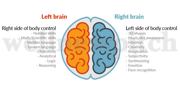 what does it mean to be left brained dominant