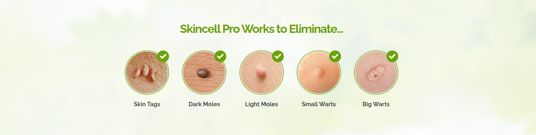 skincell pro work