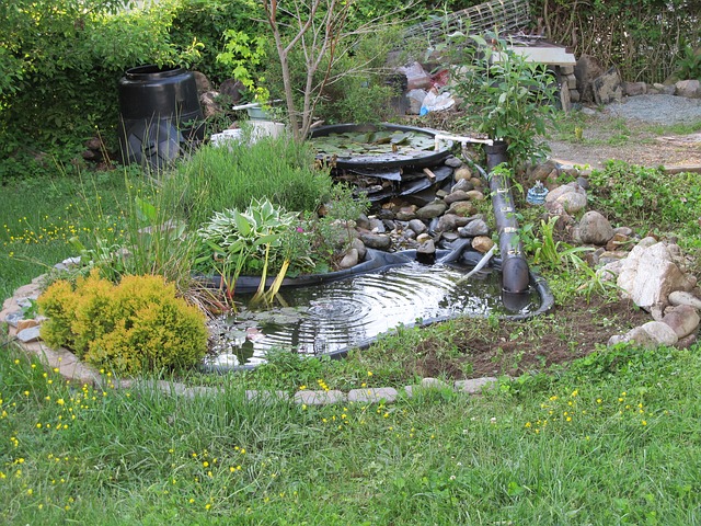 The Undeniable Environmental Benefits of Having a Pond at Home