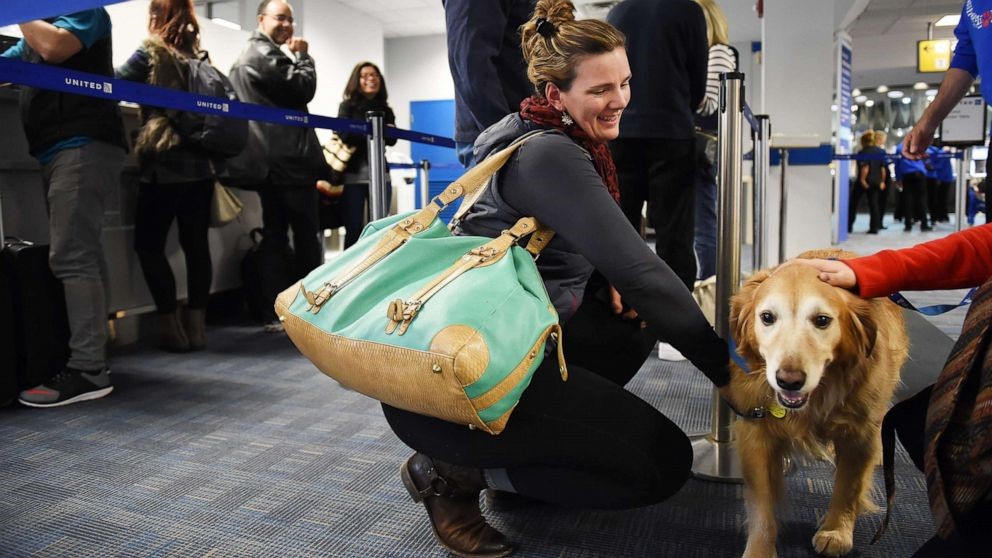 How To Fly With An Emotional Support Animal